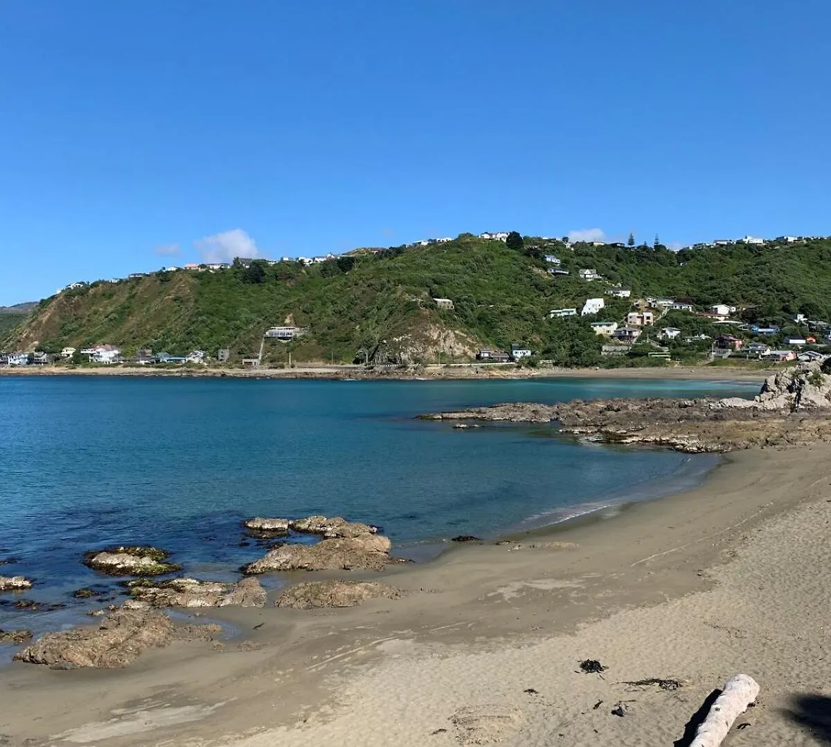Modern, Warm And Comfi - L'Appart In Houghton Bay Wellington New Zealand